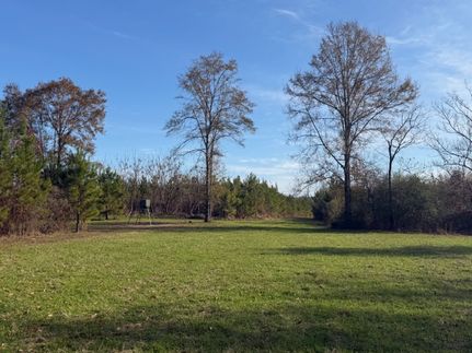Property for sale in Wilcox County, Alabama