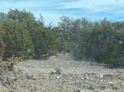 Property for sale in Edwards County, Texas