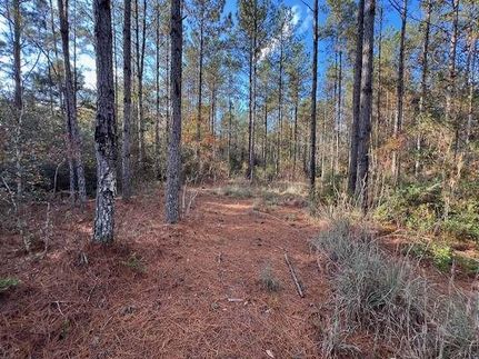 Property for sale in Covington County, Alabama