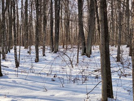 Property for sale in Forest County, Wisconsin