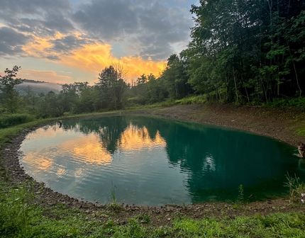 Property for sale in Allegany County, New York