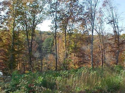 Property for sale in Richmond County, Virginia