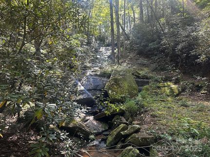 Property for sale in Rutherford County, North Carolina