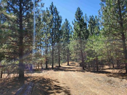 Property for sale in Siskiyou County, California