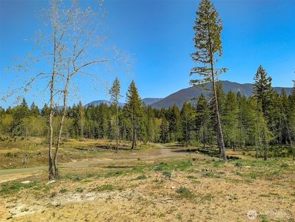 Property for sale in Lewis County, Washington