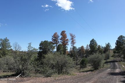 Property for sale in Navajo County, Arizona