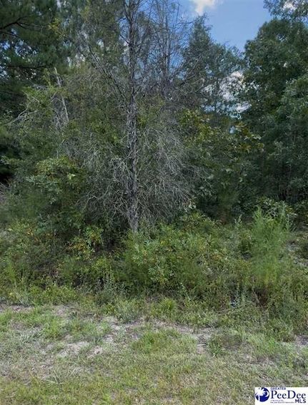 Property for sale in Chesterfield County, South Carolina