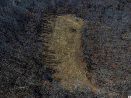 Waterfront Property for sale in Trigg County, Kentucky