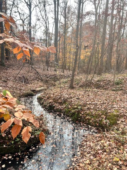 Property for sale in Laurens County, South Carolina