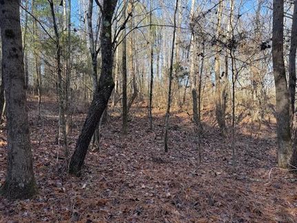 Property for sale in DeKalb County, Alabama