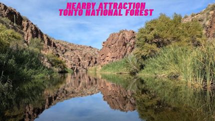 Property for sale in Navajo County, Arizona