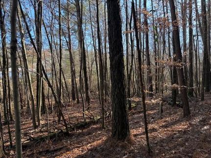Property for sale in DeKalb County, Alabama