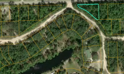 Undeveloped Land for sale in Putnam County, Florida