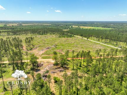 Hunting Land for sale in Burke County, Georgia
