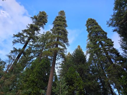 Property for sale in El Dorado County, California