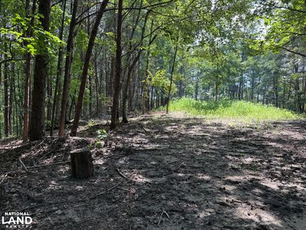 Property for sale in Tuscaloosa County, Alabama