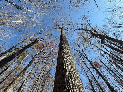 Property for sale in Etowah County, Alabama