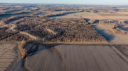 Property for sale in Fayette County, Illinois