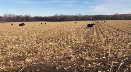 Property for sale in Franklin County, Nebraska