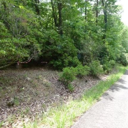 Undeveloped Land for sale in Surry County, North Carolina
