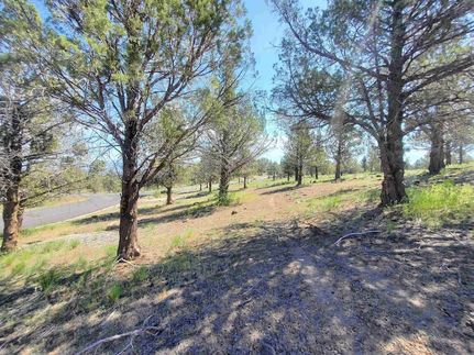 Property for sale in Siskiyou County, California