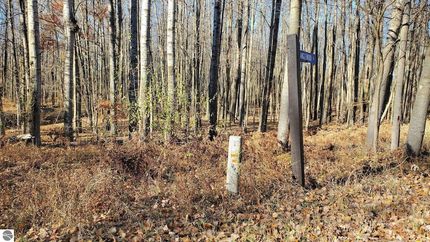 Property for sale in Mecosta County, Michigan