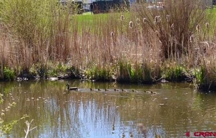 Waterfront Property for sale in Archuleta County, Colorado