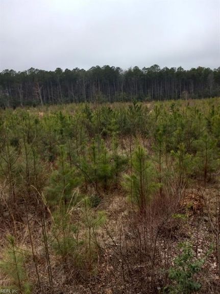 Property for sale in Gloucester County, Virginia