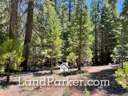Property for sale in Modoc County, California