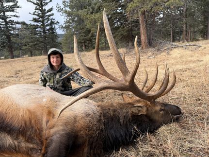 Property for sale in Colfax County, New Mexico