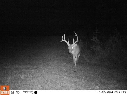 Property for sale in Union County, Illinois