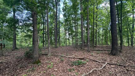Property for sale in Sharp County, Arkansas