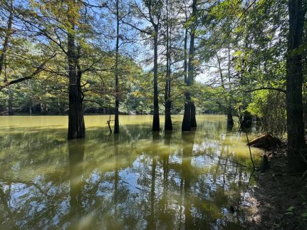 Property for sale in Woodruff County, Arkansas