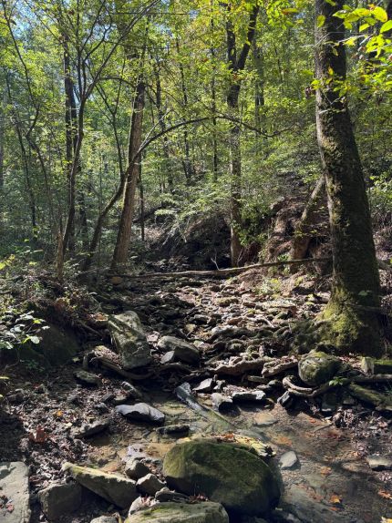 Property for sale in Van Buren County, Arkansas