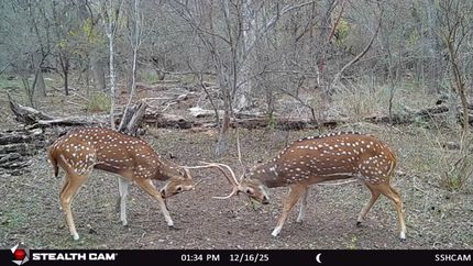 Property for sale in Medina County, Texas