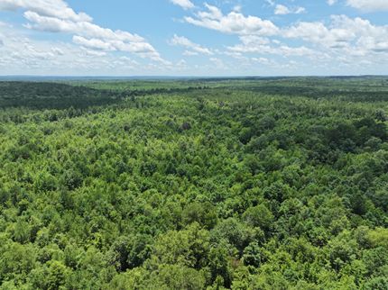 Property for sale in Harrison County, Texas