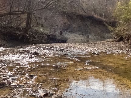 Hunting Land for sale in Yazoo County, Mississippi