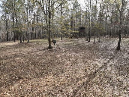 Property for sale in Clay County, Alabama