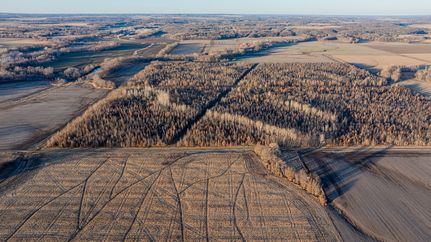 Hunting Land for sale in Fayette County, Illinois