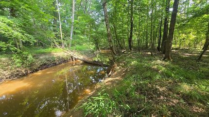 Hunting Land for sale in Montgomery County, Mississippi