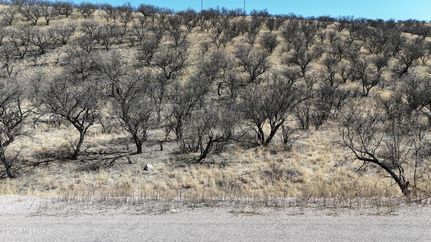 Property for sale in Santa Cruz County, Arizona