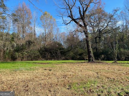 Undeveloped Land for sale in Bibb County, Georgia