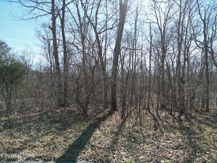 Property for sale in Cumberland County, Tennessee