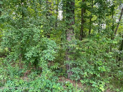 Property for sale in Tallapoosa County, Alabama