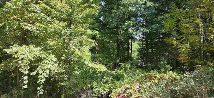 Property for sale in Gladwin County, Michigan