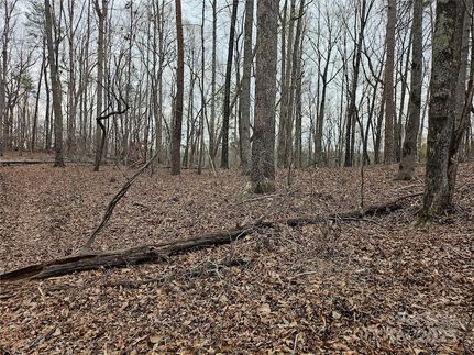 Property for sale in Polk County, North Carolina