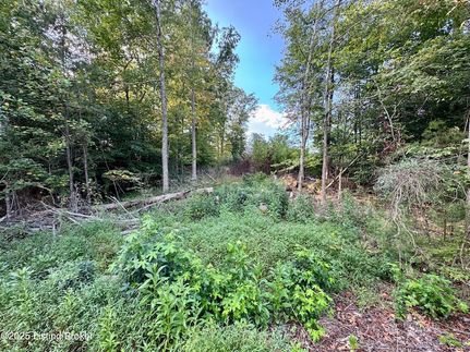 Residential Property for sale in Nelson County, Kentucky