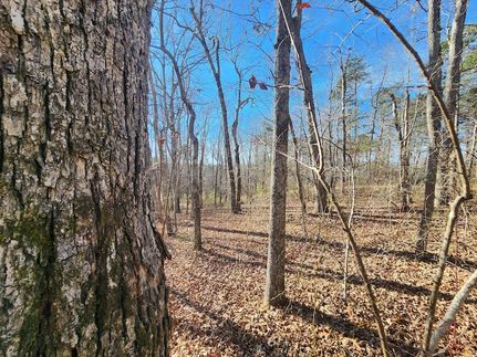 Property for sale in DeKalb County, Alabama