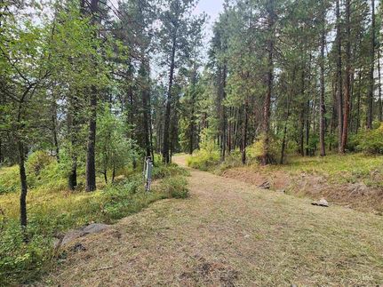 Property for sale in Idaho County, Idaho