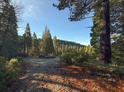 Undeveloped Land for sale in Nevada County, California